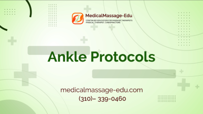 Ankle Protocols